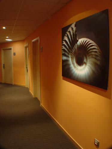 Hotel Altovento Murillo de Gállego Interior foto